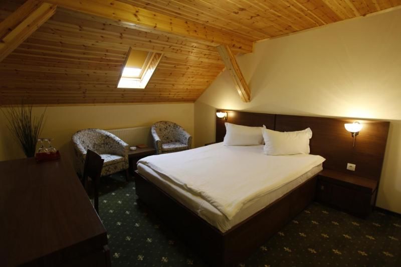 Гостевой дом Pension Tempo Тыргу-Муреш-33