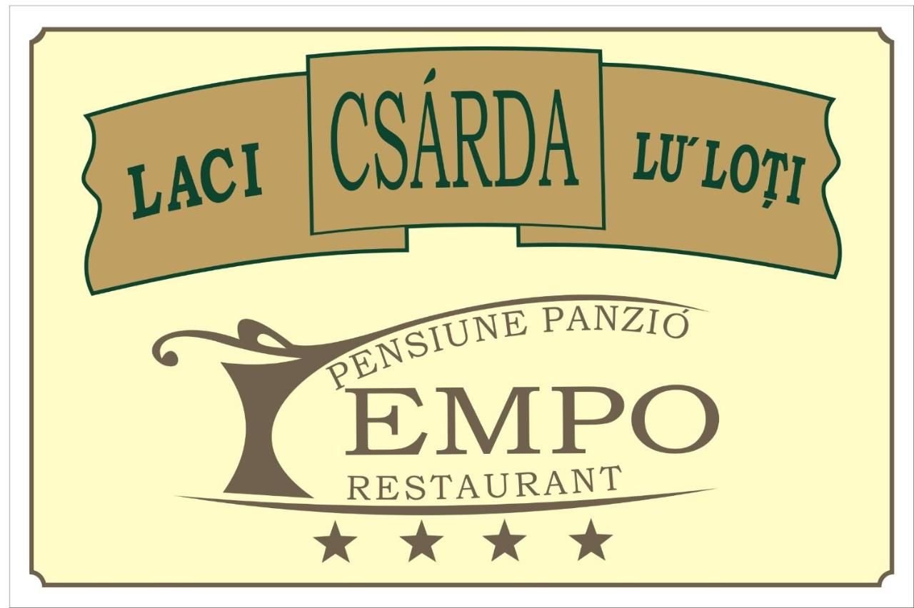 Гостевой дом Pension Tempo Тыргу-Муреш-41