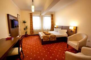 Гостевой дом Pension Tempo Тыргу-Муреш Улучшенный двухместный номер с 1 кроватью-1